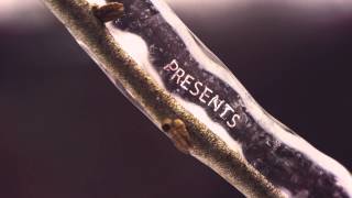 Smoky Mountain Fireplaces