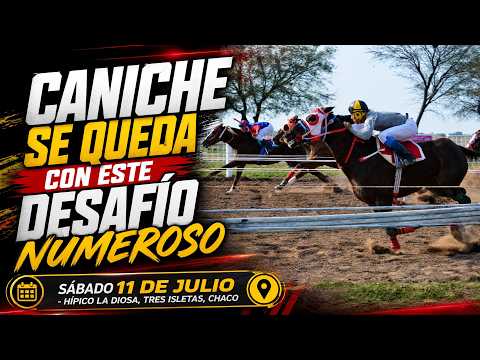 CANICHE-Gran desafio- Hipico al Diosa- Tres isletas Ch. 11-07-26