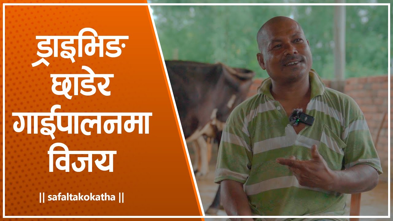 गाईपालनमा विजय • सफलताको कथा •