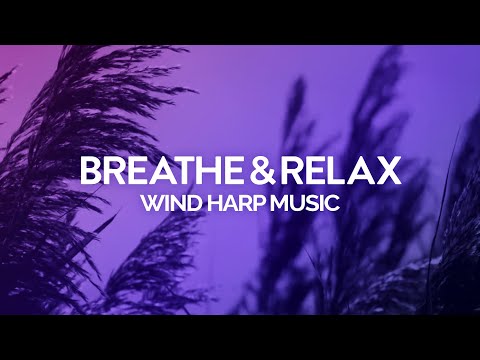 Stress Melts Away With This | Wind Harp Meditation Music