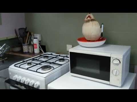 Dutch Barge 65ft  - Boatshed - Boat Ref#302133