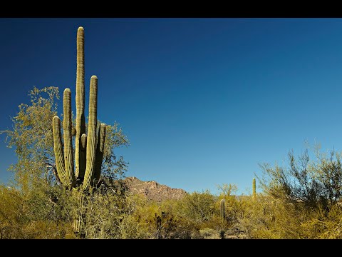 New Homes in Phoenix | Village at Sundance | Home Builder | Centex Homes