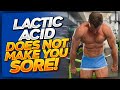 What does Lactic Acid Really Do?