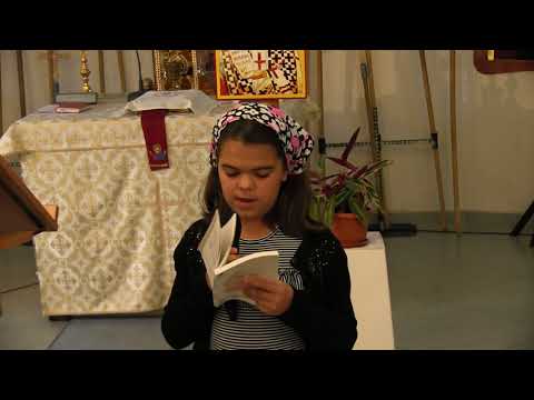 Ana Hiticaş - Încă n-am ajuns la Ţărmul (poezie)