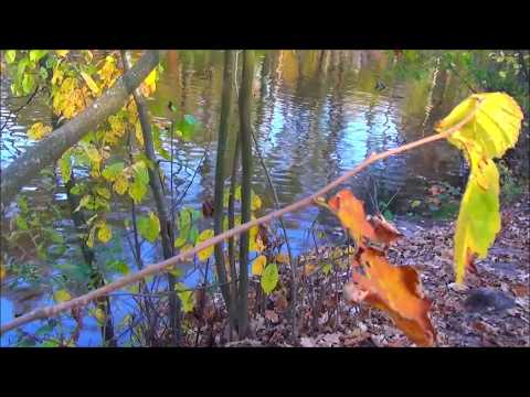 Музыка для души! Эдгар Туниянц – О Печали