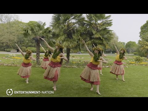 Expert Dance - Traditional Hawaiian