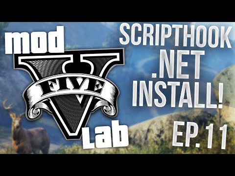     5 Script Hook Net -  4