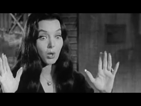 The Addams Family | NO JOKES, ALL PLOT