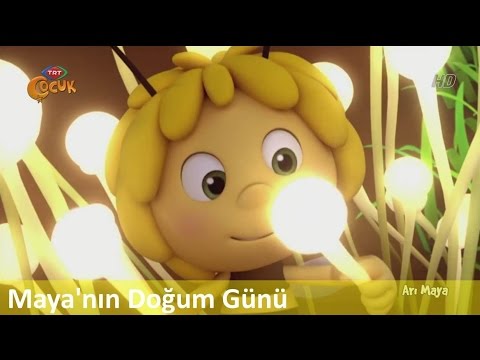 download lagu mp3 mp4 Arı Maya, download lagu Arı Maya gratis, unduh video klip Arı Maya