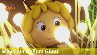 Arı Maya ► Maya'nın Doğum Günü