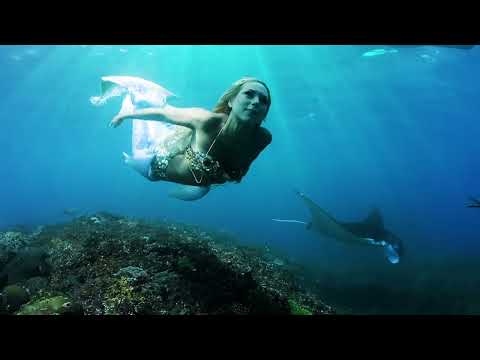 Ripples Through Time by Liquid Bloom, Tylepathy, Divasonic - Video by Shawn Heinrichs
