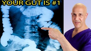 Fix Your GUT Health...#1 Reason to Mental & Physical Problems!  Dr. Mandell