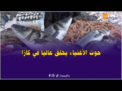 الكروفيط رويال داير 850 درهم للكيلو ولانغوست 600 درهم وبائع للسمك يكشف عن حجم الإقبال وطبيعة الزبائن
