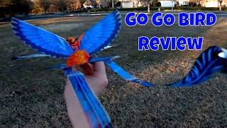 Hanvon Go Go Bird RC bird Review