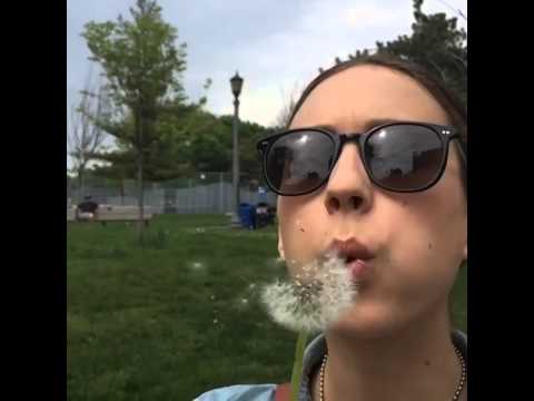 Patrick Adams instagram video