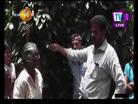 Issues of the Pepper farmers in Wasanagama locality in Kandaketiya, Badulla.