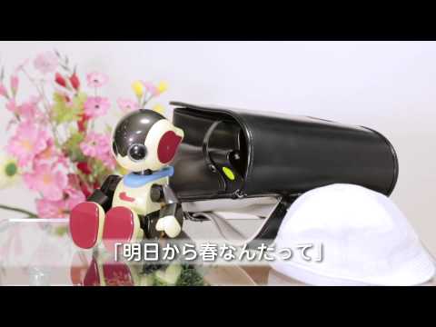 ロビジュニア紹介ＰＶ