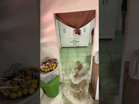 Limpeza no quarto #limpeza #limpando #limpezanoquarto