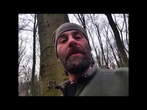 Kienspan, das Gold des Waldes! Ein Helfer in der Not um Feuer zu machen!