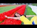 Teri Chunariya New Love WhatsApp Status 2018