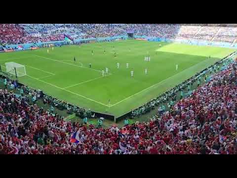 Slavlje naših navijača nakon vodećeg gola Srbije