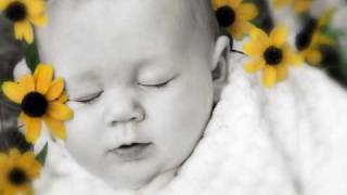 Lullaby and Goodnight