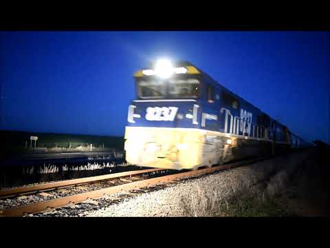 Pacific National Grain Train in South Australia with locomotives 8237 & NR21, Mallala, S Australia