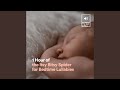 1 Hour Of The Itsy Bitsy Spider For Bedtime Lullabies Pt 20