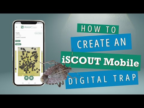 How to Create Traps and Detect Insects with iSCOUT Mobile | Step-by-Step Guide