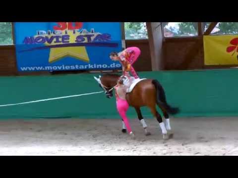 Juniorteam Hungen auf der DJM 2015 in Krumke