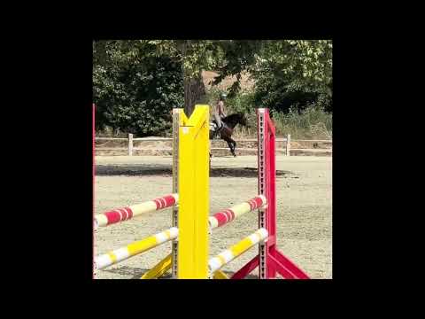 youtube preview