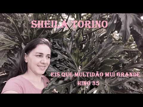 Sheila Torino Hino 35 Eis Que Multidão Mui Grande - HINOS CCB
