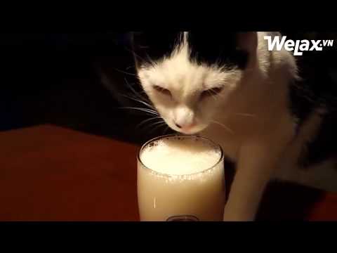 Sắp đến tết rồi :( với em thì tết năm nào cũng như năm nào các Xêm.