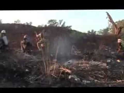 اشتباكات بين كتيبة صياد الأسود وقوات النظام في كتيبة المشاة في بلدة عتمان في ريف درعا