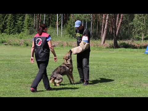 Illy vom Spektefeld IGP-2 Protection