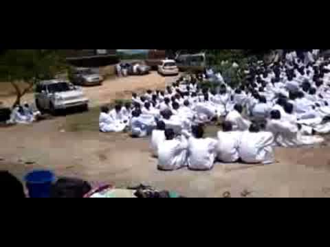 Johanne masowe echishau Gore jena titungamirire mambo