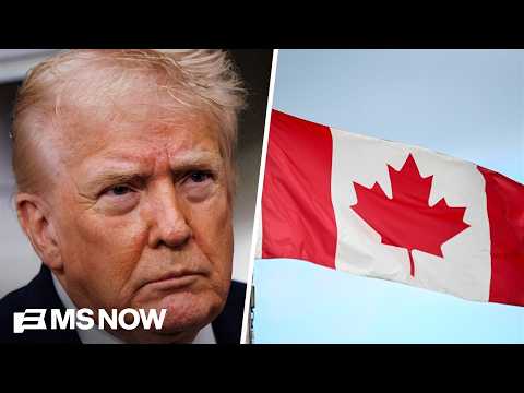 'What's our beef with the Canadians?': Economist says Trump's tariffs are 'surprisingly big deal'