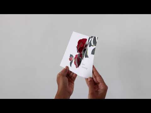 Christmas Camellia Holiday Cards - Set of 8