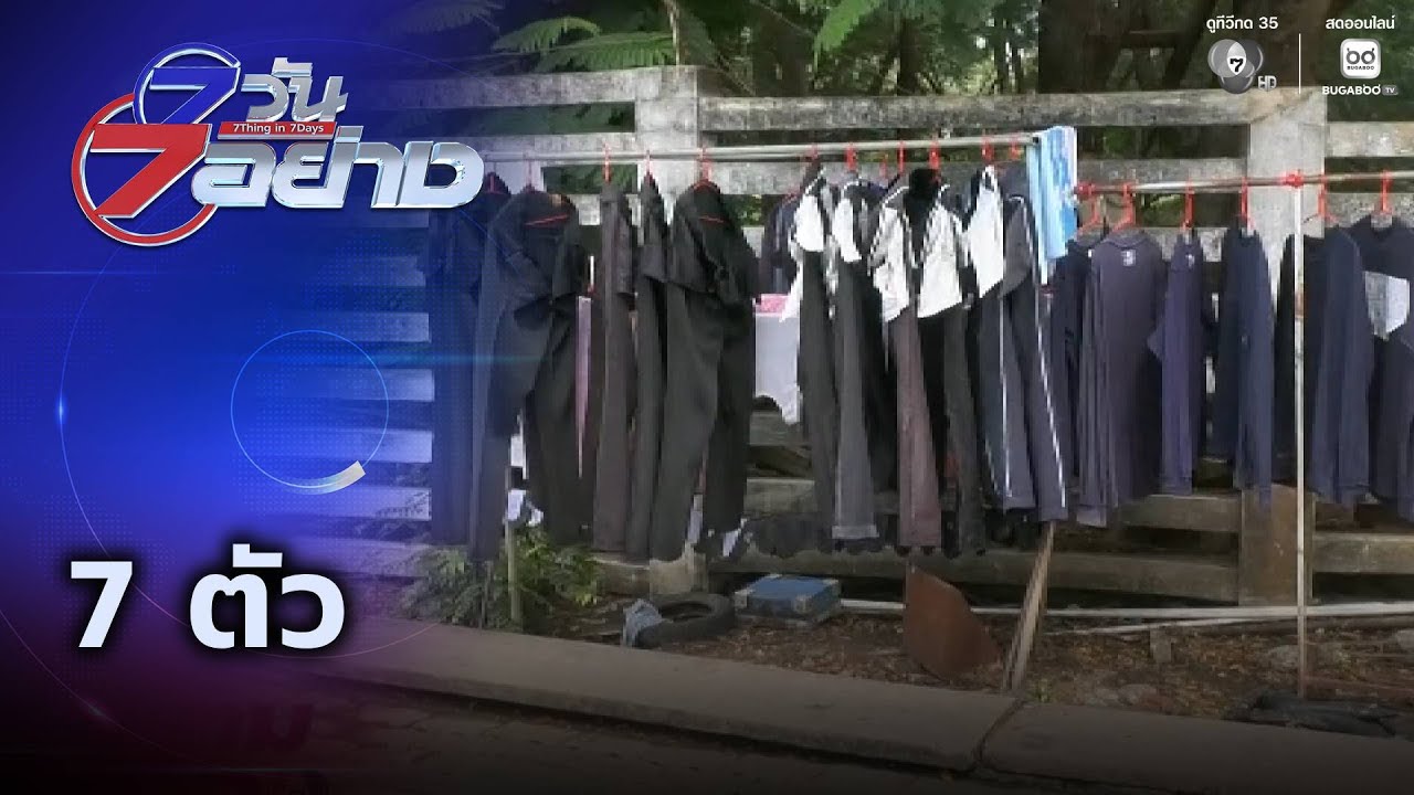 7 ตัว | 7 วัน 7 อย่าง