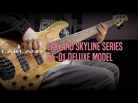 Lakland Skyline 55-01 Deluxe Bass Model Demo - ‘Joker’ by Bassist 김도훈 (Dohoon Kim)