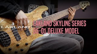 Video thumbnail for Lakland Skyline 55-01 Deluxe Bass Model Demo - ‘Joker’ by Bassist 김도훈 (Dohoon Kim) by Music Force Official