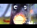 Classic Sesame Street Here Is Your Life Oak Tree Better Copy