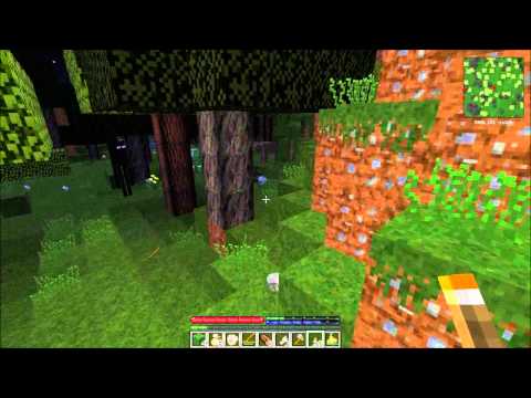 Terrafirmacraft, E1 - Hunter/gatherer