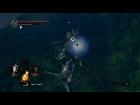 DARK SOULS™ REMASTERED - Black Knight, Darkroot Basin
