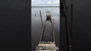 Сестрорецк лодочные гаражи