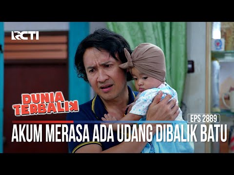 Akum Merasa Ada Udang Dibalik Batu - Dunia Terbalik