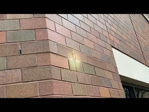 Office Workers Getting Stung by Yellow Jackets in Woodbridge, NJ