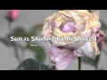 Sun is Shining by ReUnited 