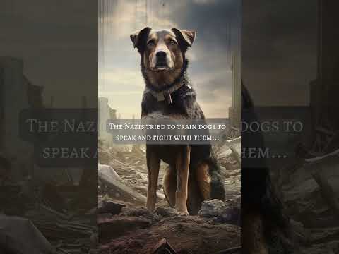 🐶The Strange Nazi Experiment: Talking Dogs