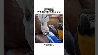 연기력 뭐야 ㅋㅋ 마지막은 ㅋㅋㅋ